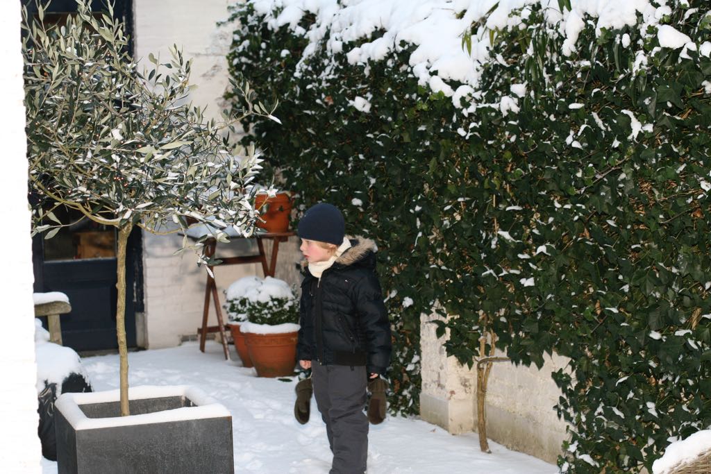 EOS IMG_20091220_1397