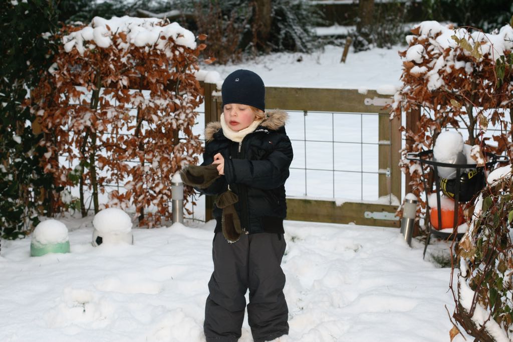 EOS IMG_20091220_1404