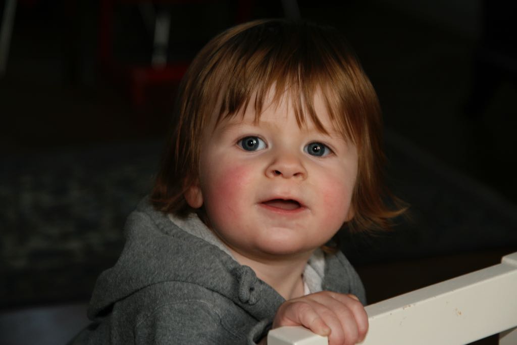 EOS IMG_20100108_1440