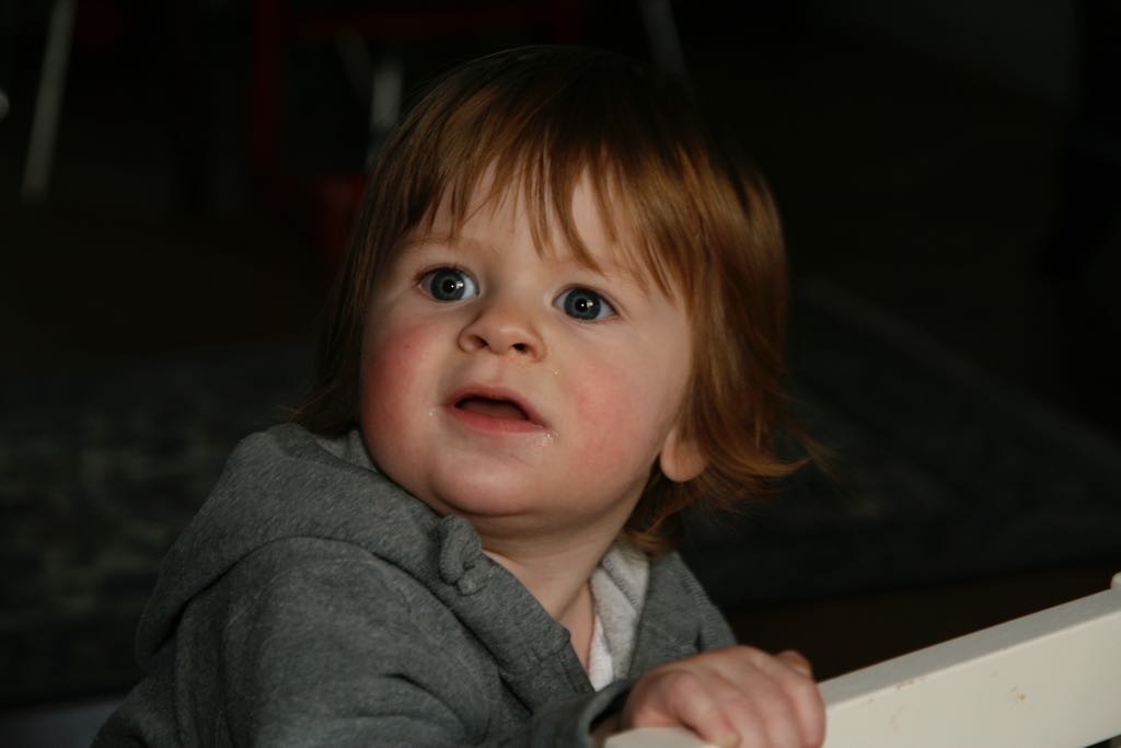 EOS IMG_20100108_1441