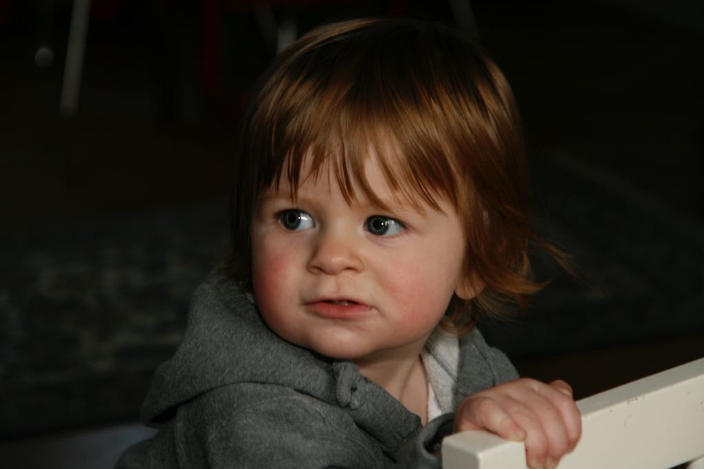 EOS IMG_20100108_1442