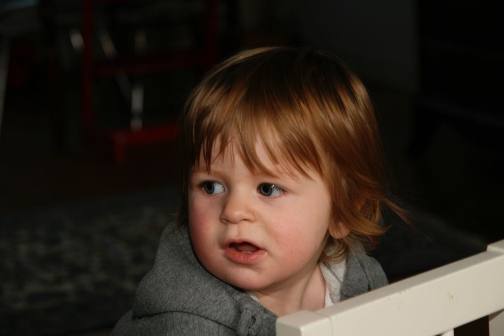 EOS IMG_20100108_1443