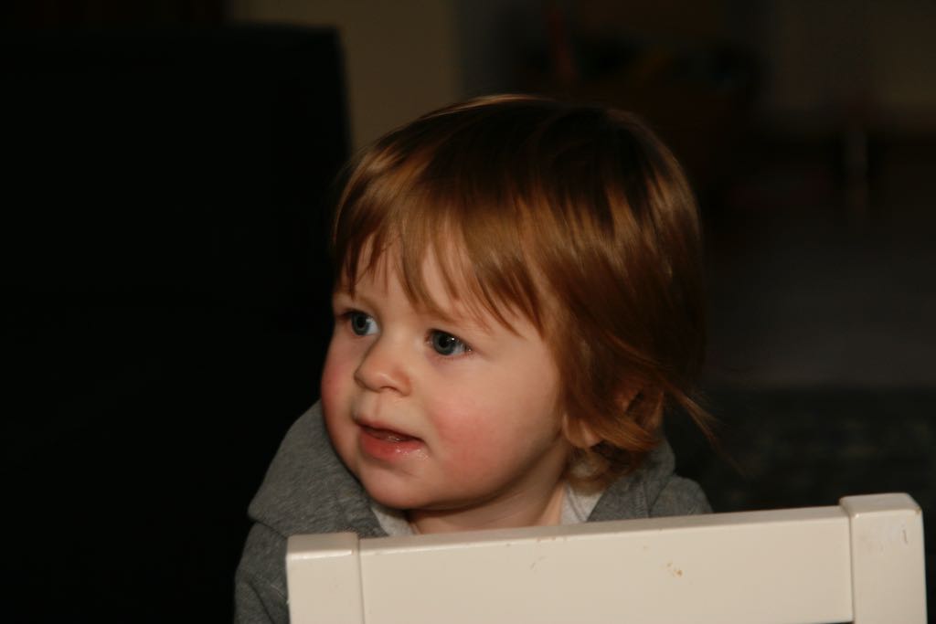 EOS IMG_20100108_1444