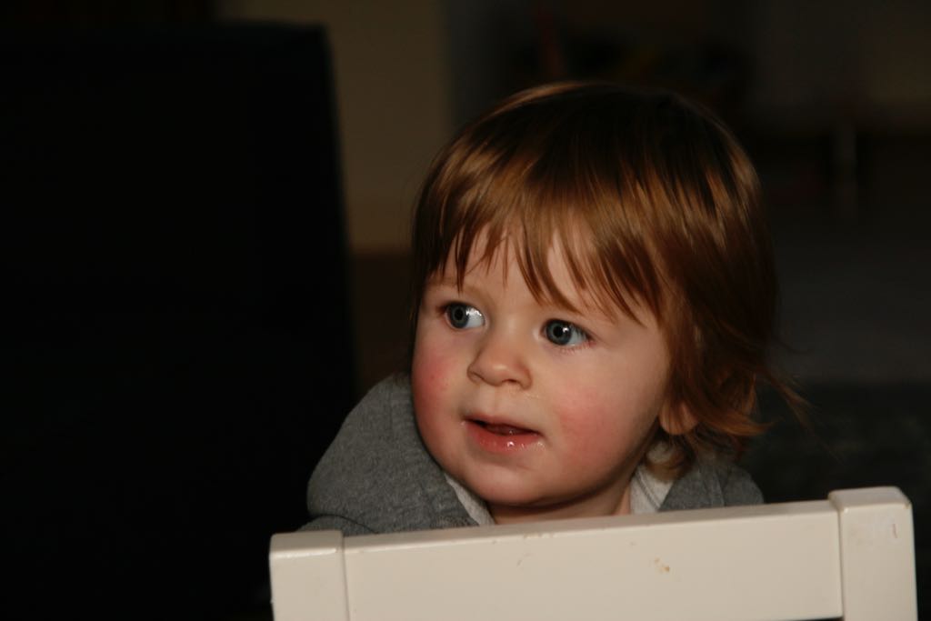 EOS IMG_20100108_1445