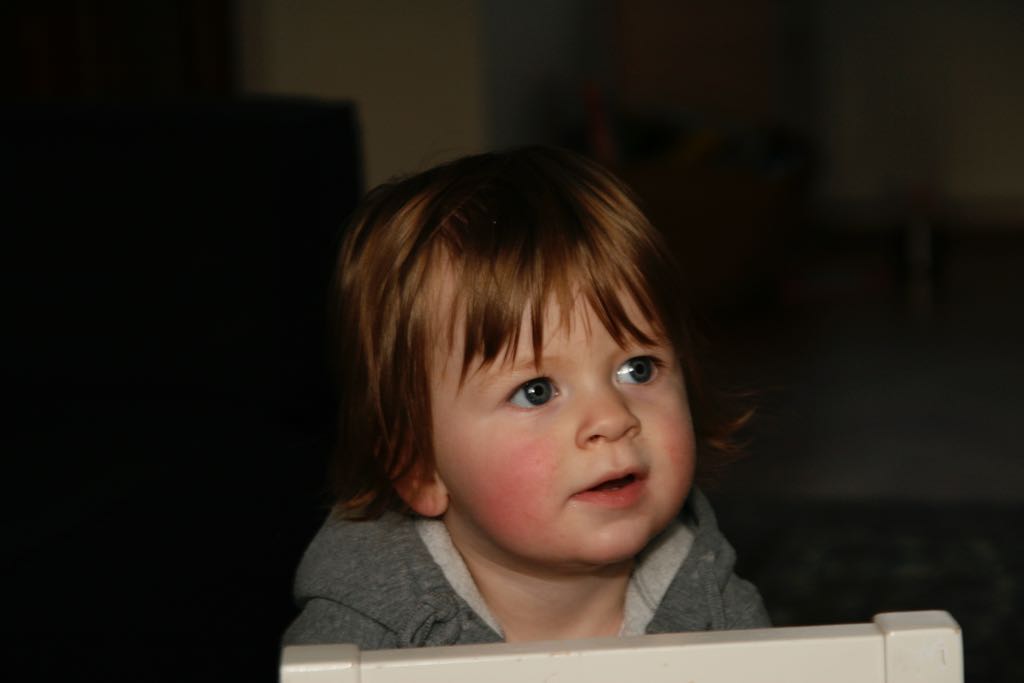 EOS IMG_20100108_1447