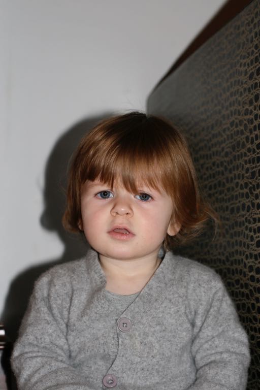 EOS IMG_20100122_1453
