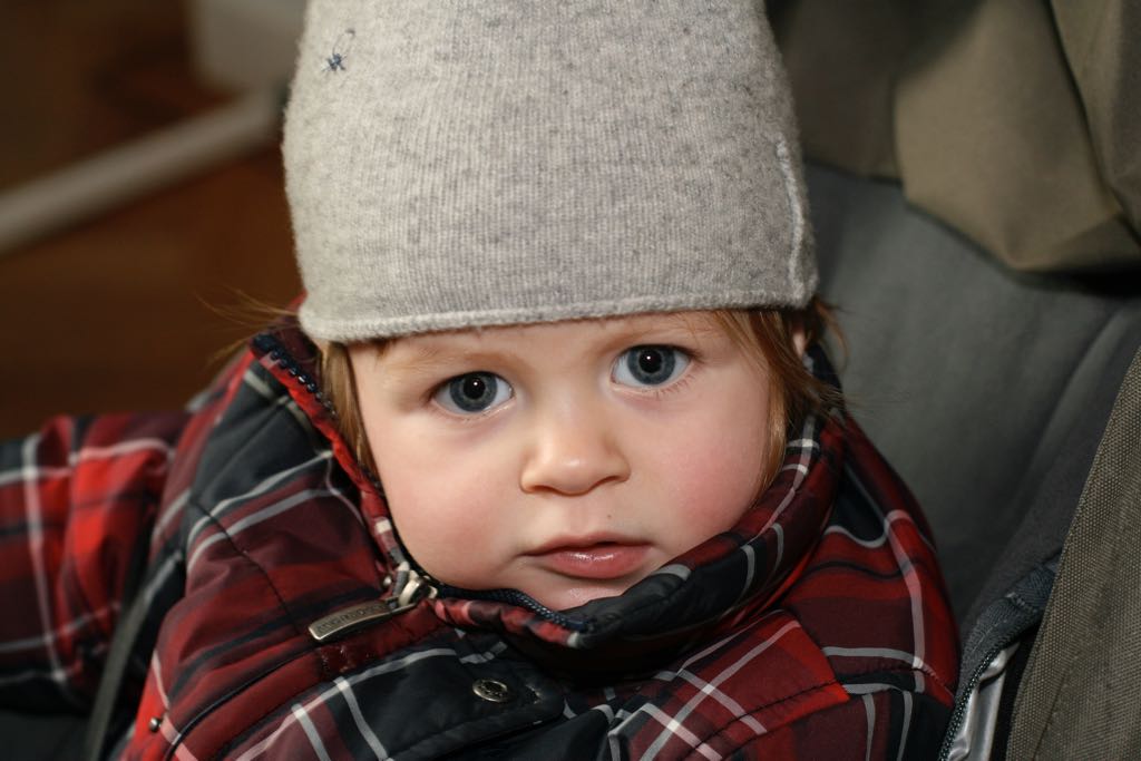 EOS IMG_20100122_1454