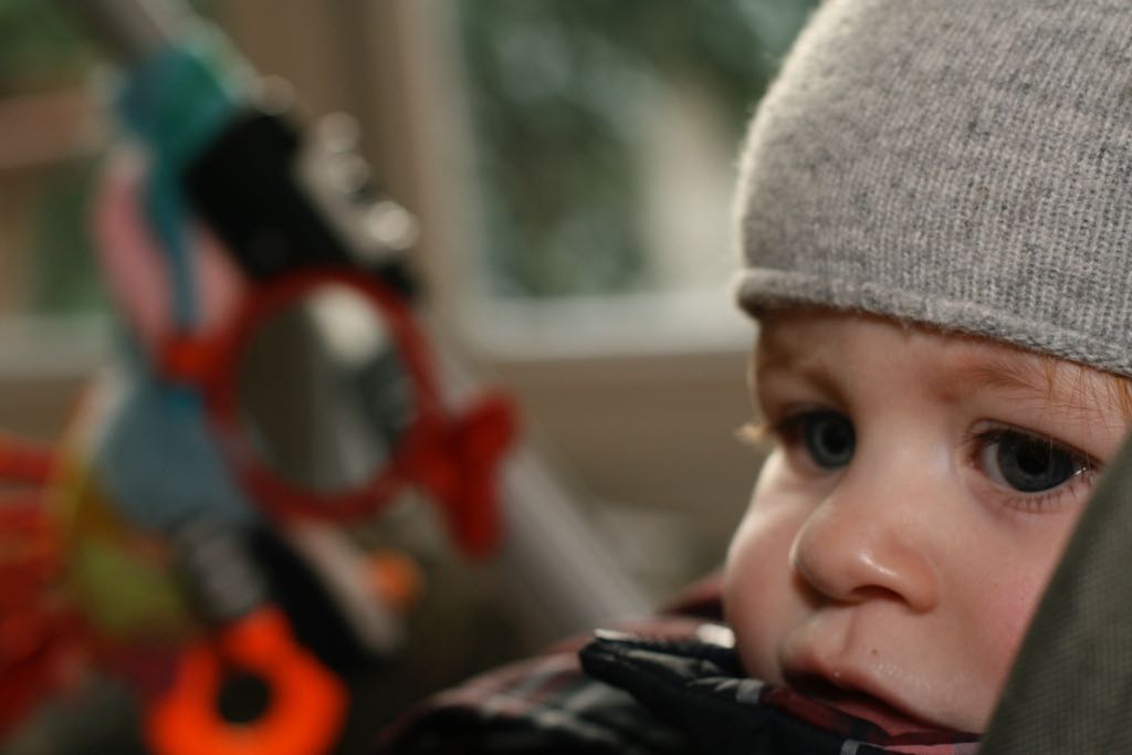 EOS IMG_20100122_1455