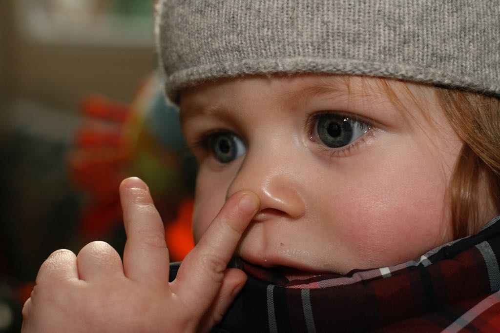 EOS IMG_20100122_1456