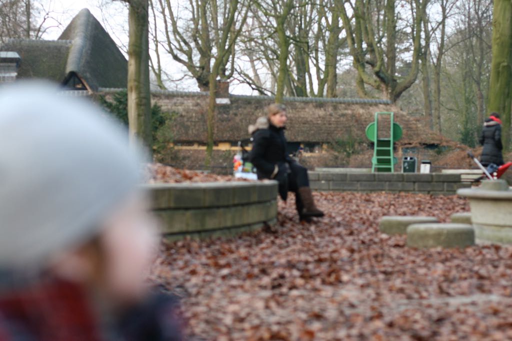 EOS IMG_20100122_1487