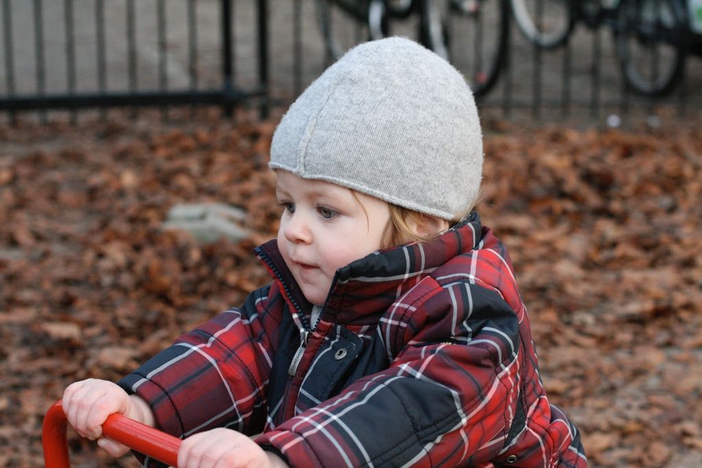 EOS IMG_20100122_1501