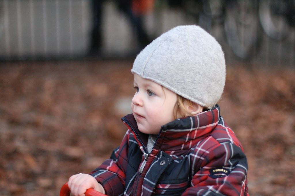 EOS IMG_20100122_1502