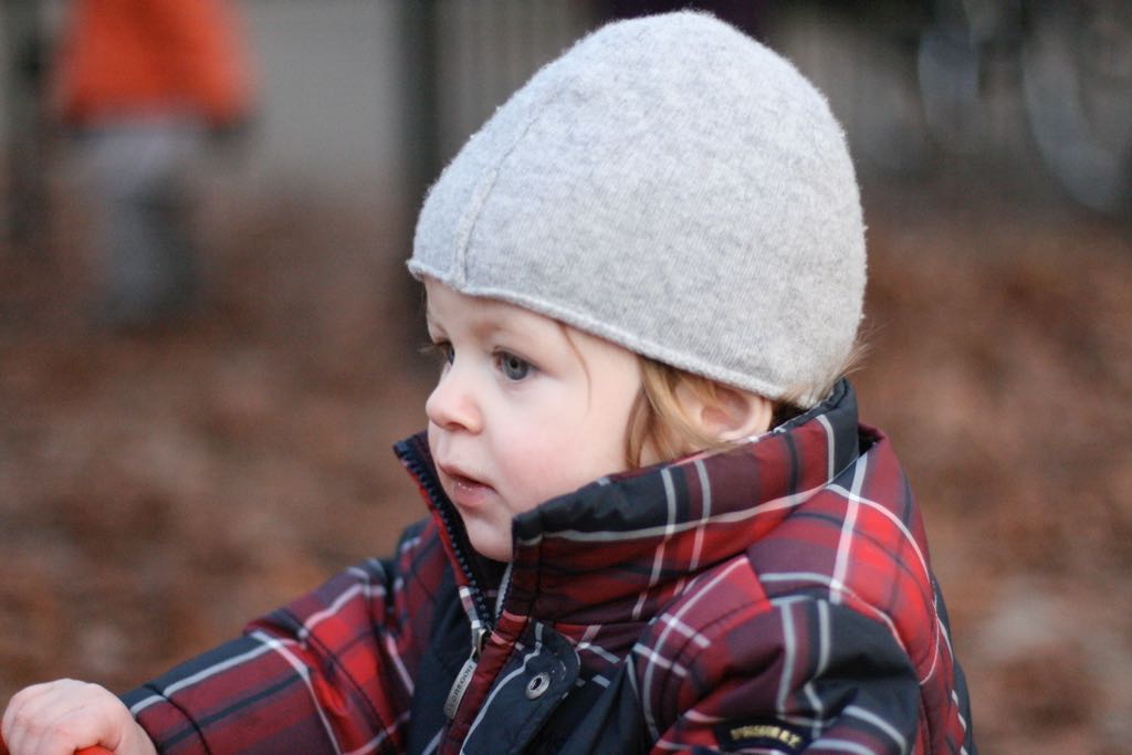 EOS IMG_20100122_1503
