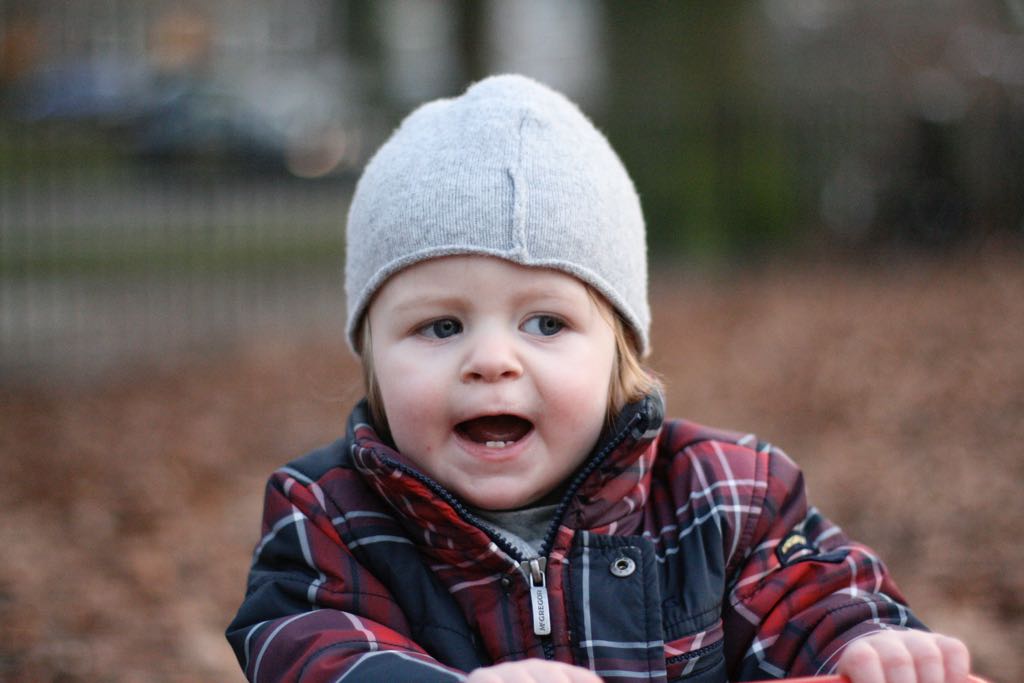 EOS IMG_20100122_1505