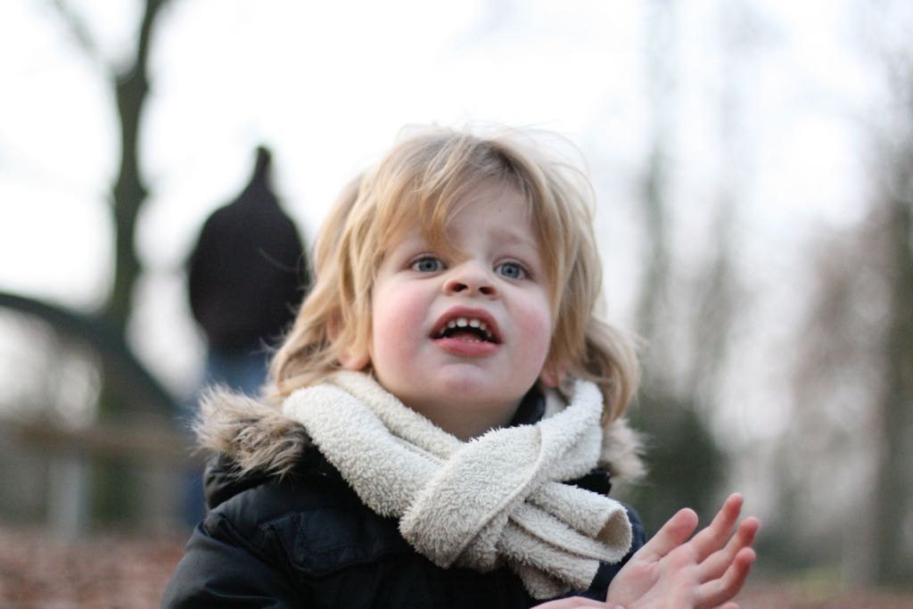 EOS IMG_20100122_1508