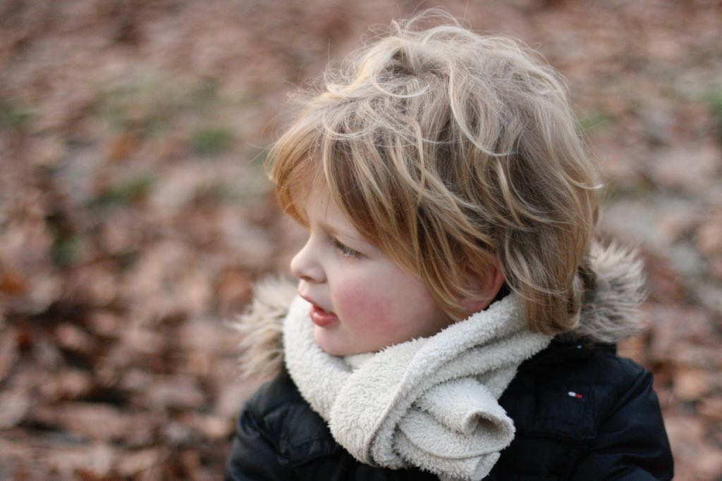 EOS IMG_20100122_1518