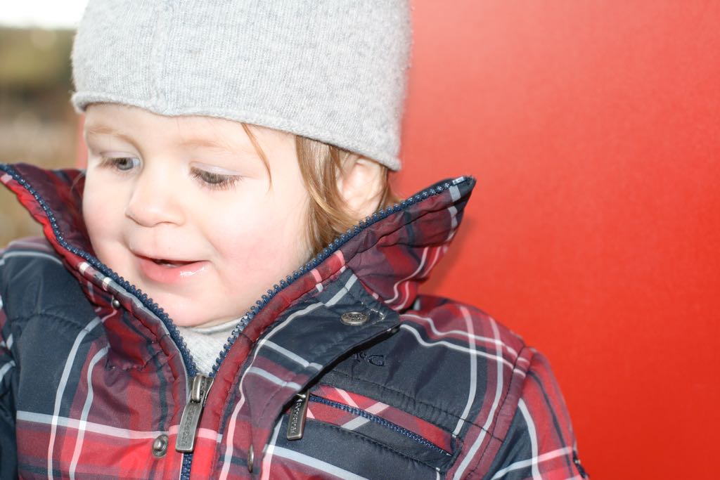 EOS IMG_20100122_1529