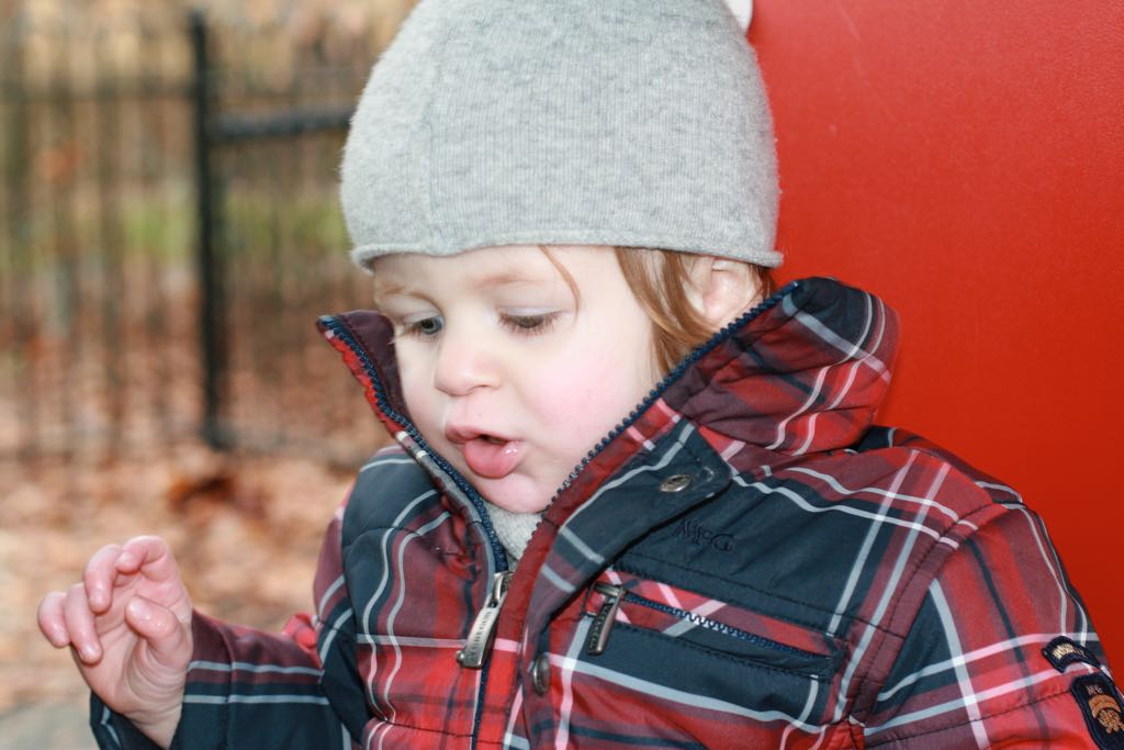 EOS IMG_20100122_1531