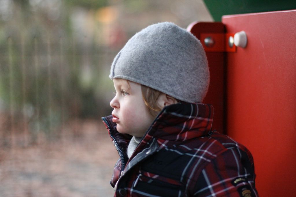 EOS IMG_20100122_1535