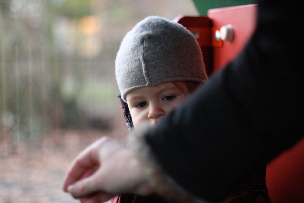 EOS IMG_20100122_1538