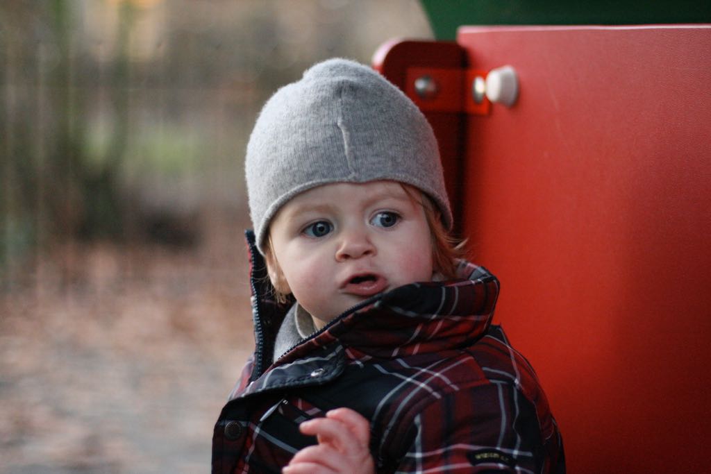 EOS IMG_20100122_1539