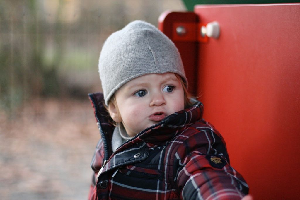 EOS IMG_20100122_1541