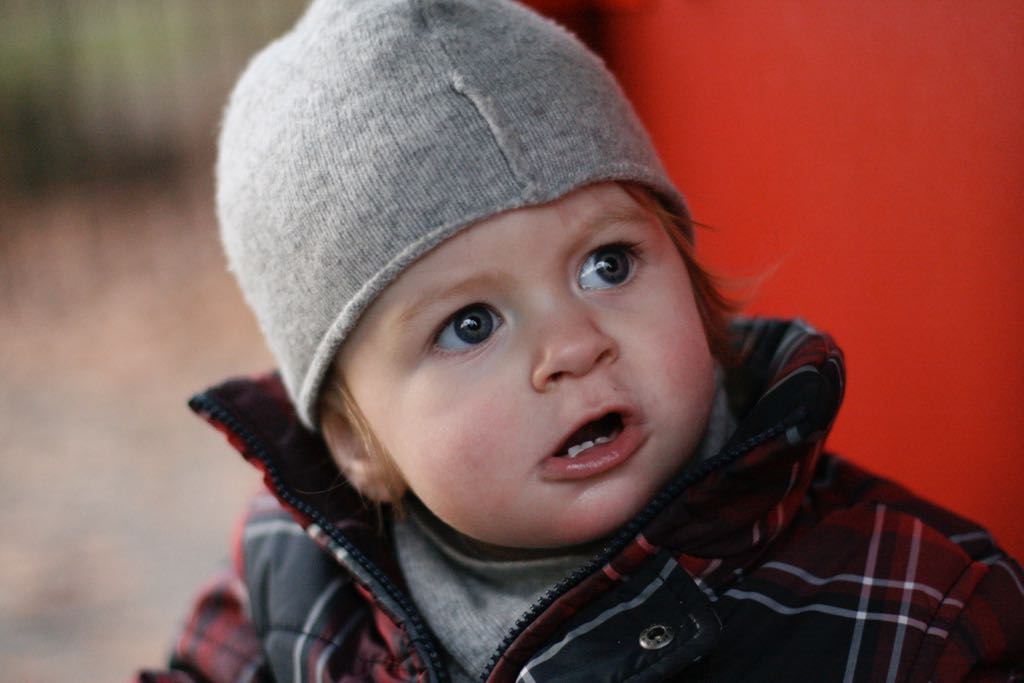 EOS IMG_20100122_1543