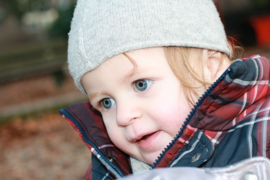 EOS IMG_20100122_1550