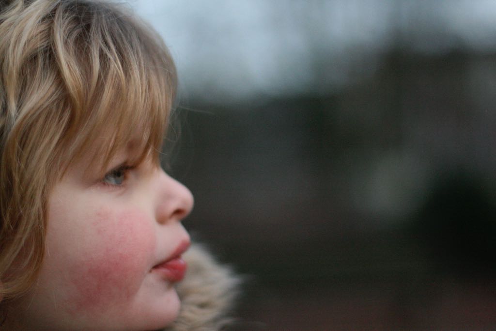 EOS IMG_20100122_1571