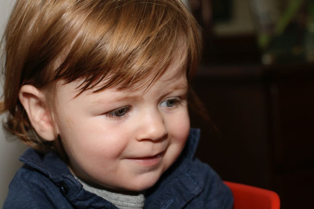 EOS IMG_20100131_1650
