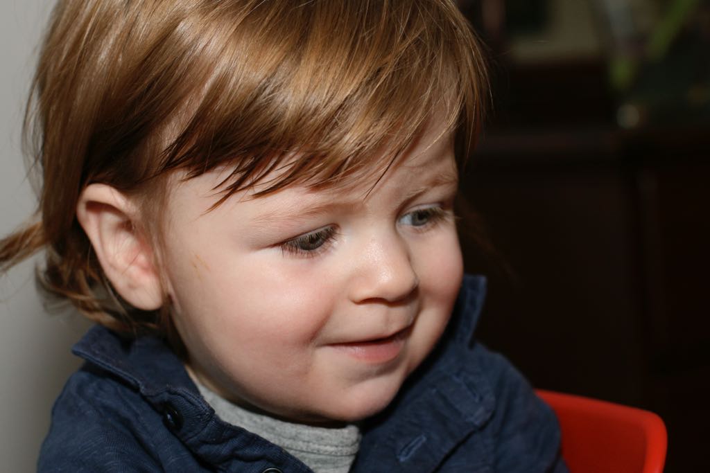 EOS IMG_20100131_1651
