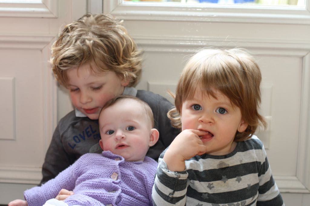 EOS IMG_20100321_1676