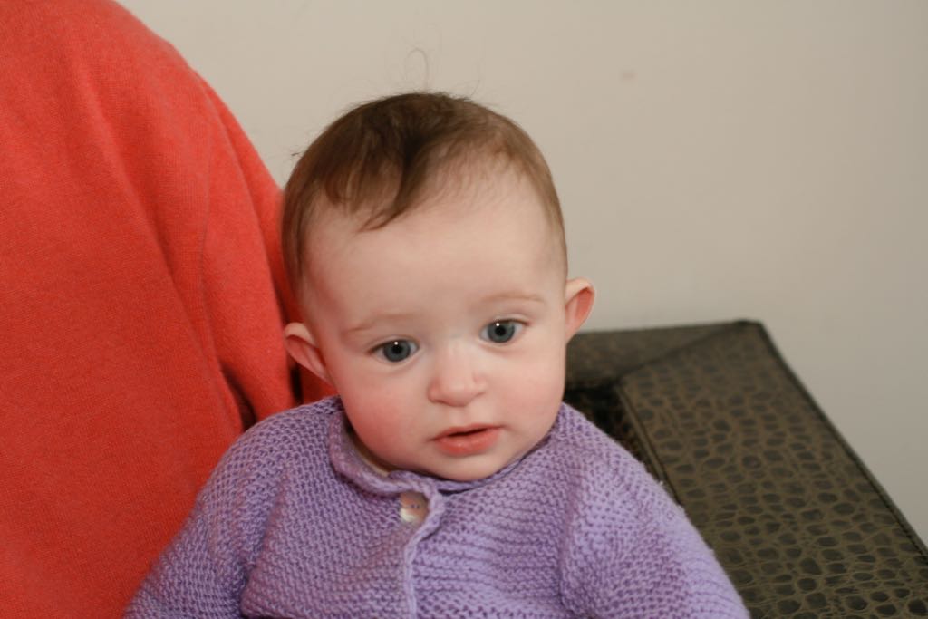 EOS IMG_20100321_1681