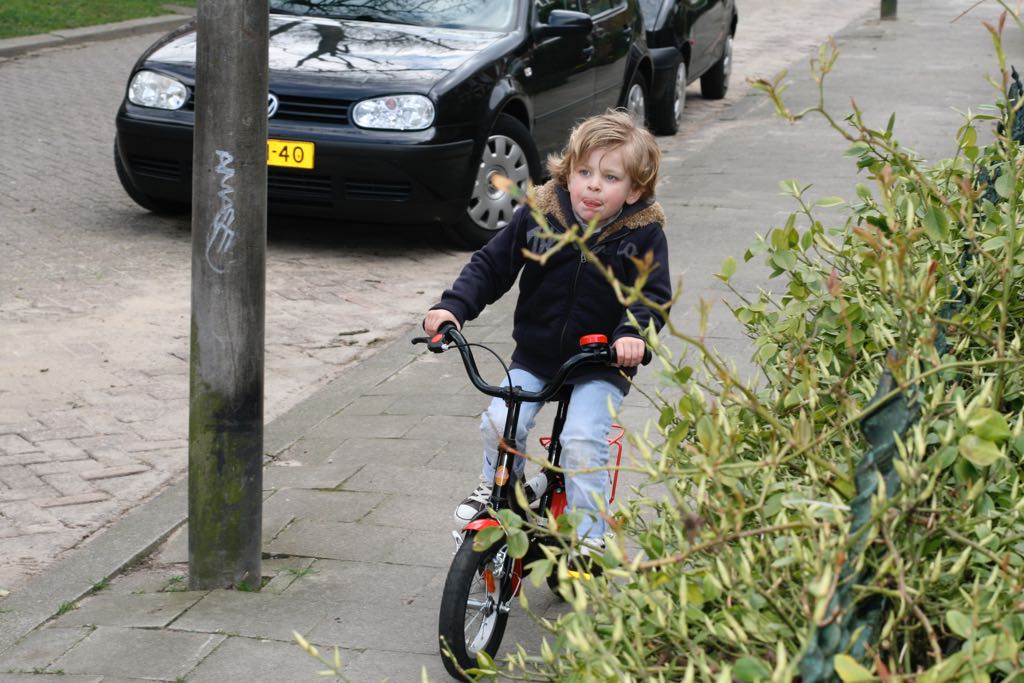 EOS IMG_20100329_1748