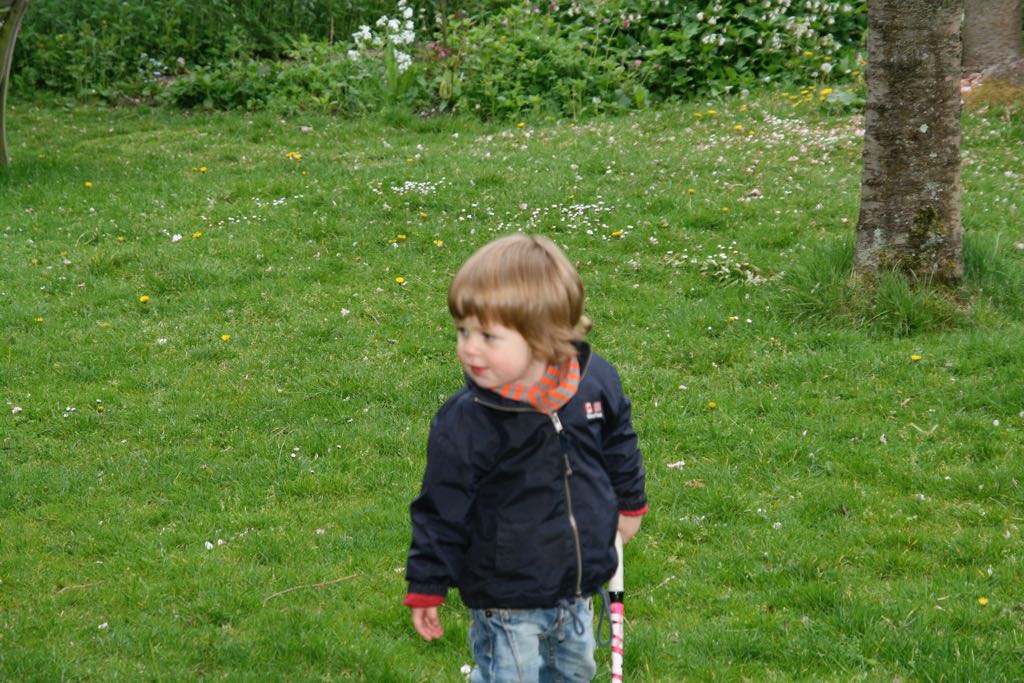 EOS IMG_20100510_1929